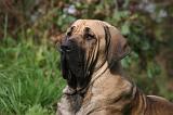 FILA BRASILEIRO 026
